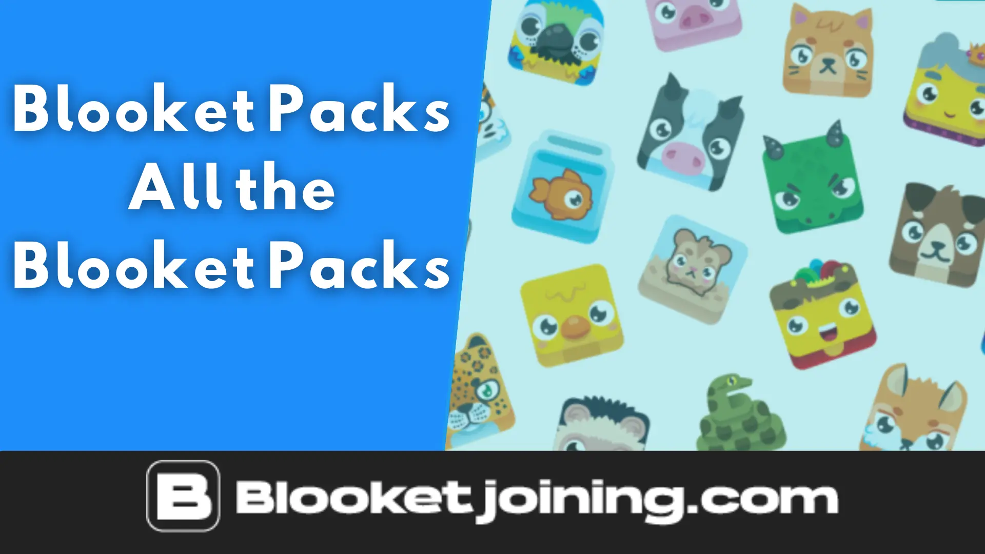 Blooket Packs | Explore Collections & Exciting Game Choices